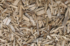 biomass boilers Duisky